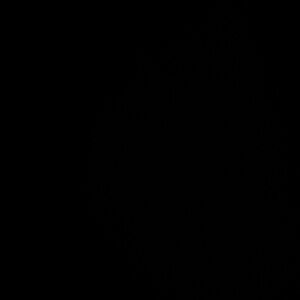 Meet your Posher, Jay